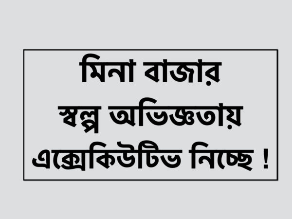 মিনা বাজারে