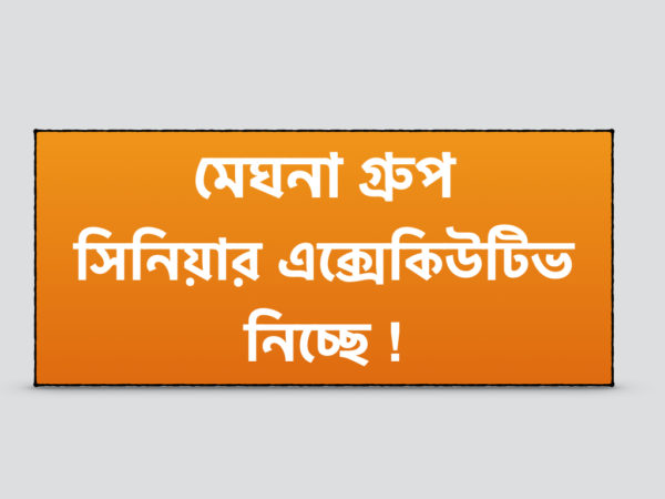মেঘনা গ্রুপে